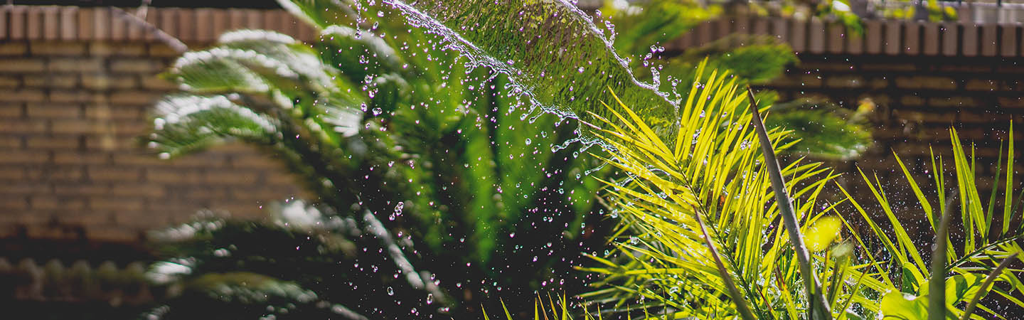Header-4