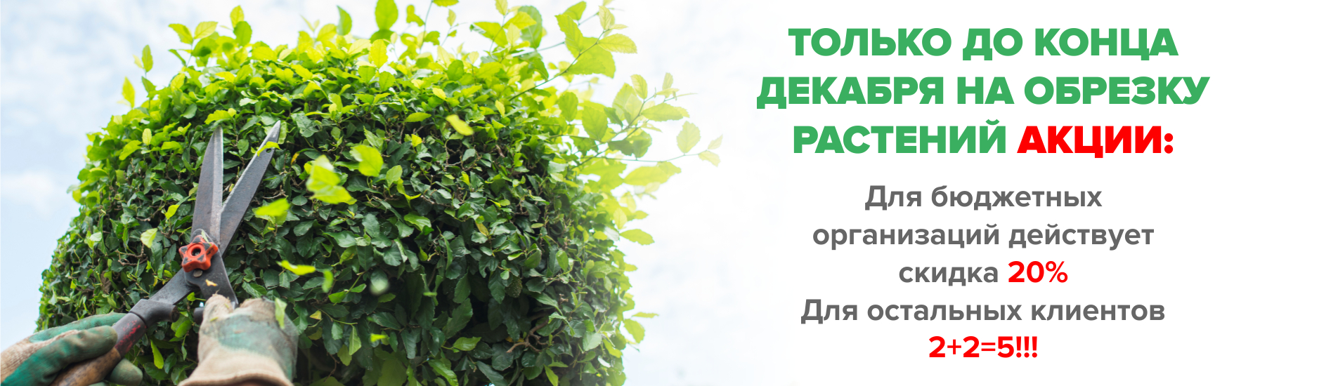 Баннер обрезка кустов