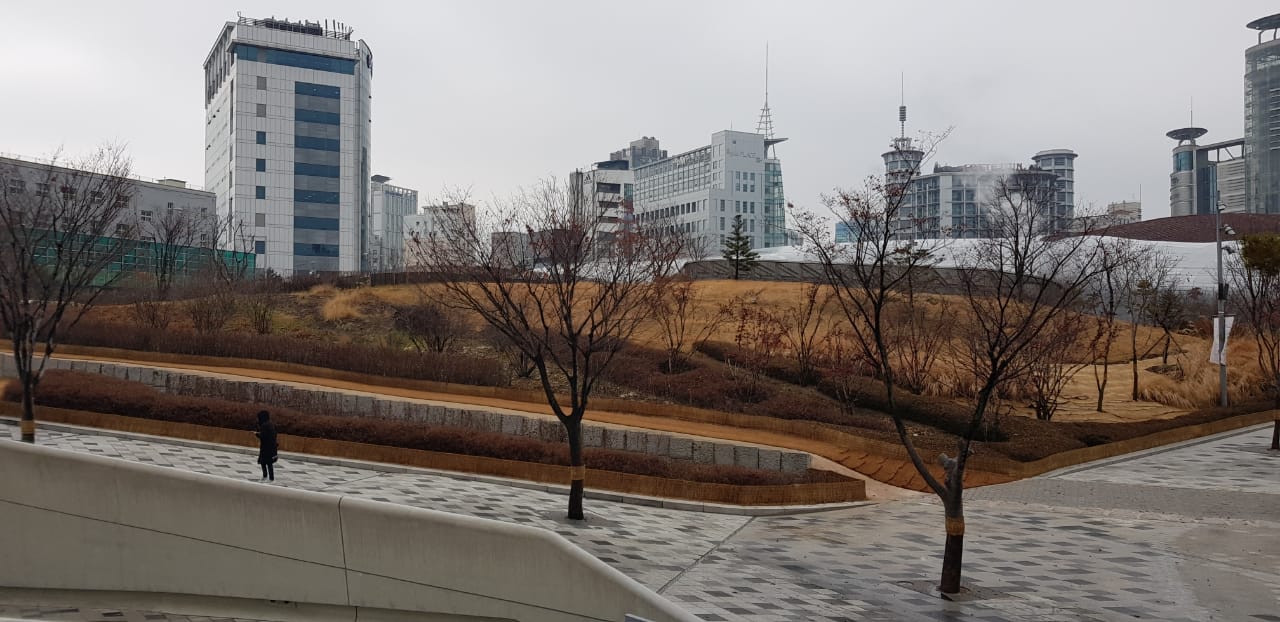 Озеленение в Южной Корее
